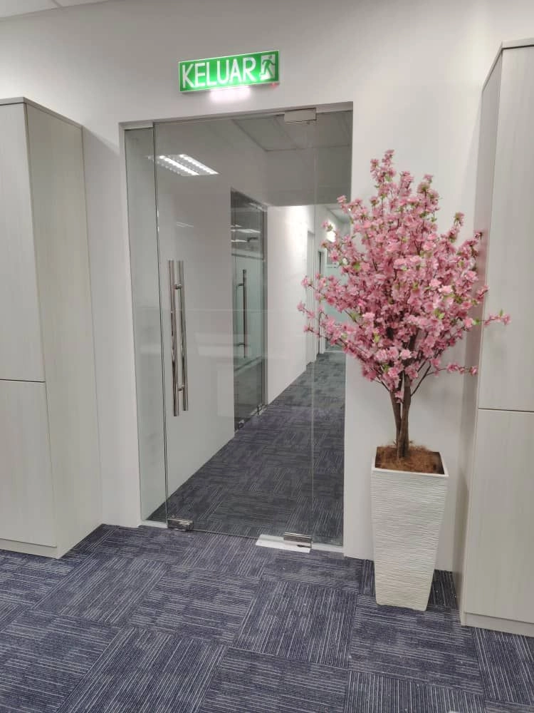 12mm Frameless Tempered Glass Door