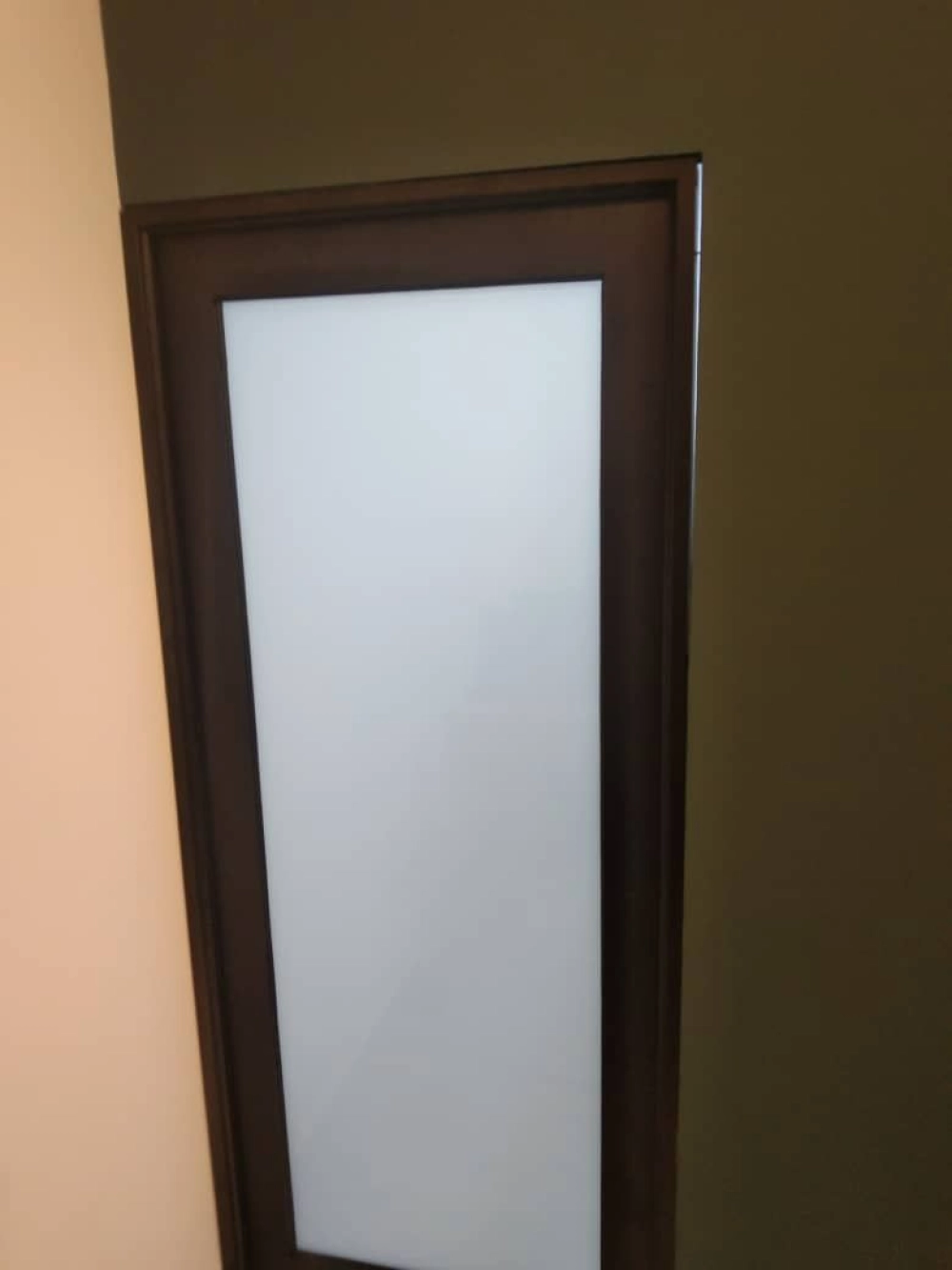Aluminium Swing Door